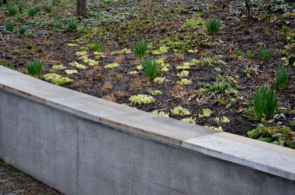 Concrete Wall Construction in Santa Barbara
